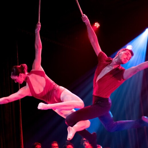 Acrobat Hamme  (Oost-Vlaanderen)(BE) 