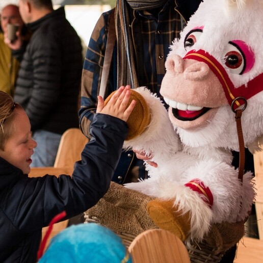 Actor Dodewaard  (NL) 