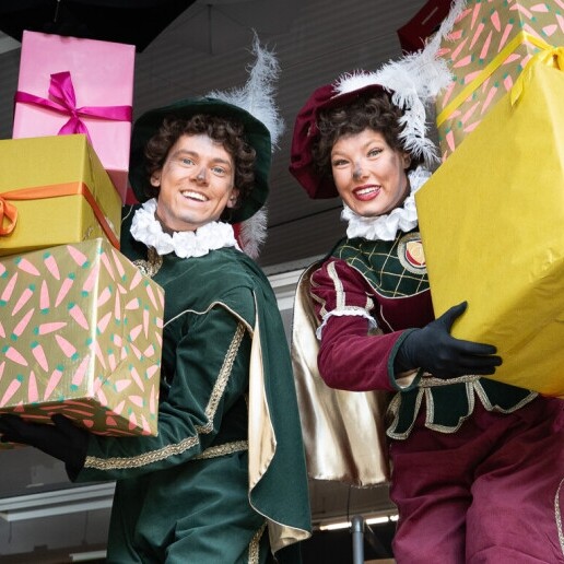 Acrobat Dodewaard  (NL) 