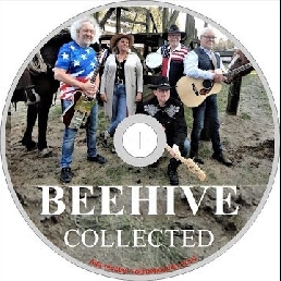 BEEHIVE Country Rock’n Roll band