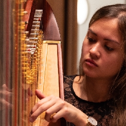 Harpiste, Laura van der Kloet