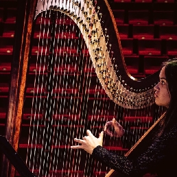 Harpist Tilburg  (NL) Harpiste, Laura van der Kloet