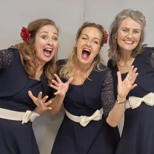 Singing group Amersfoort  (NL) 