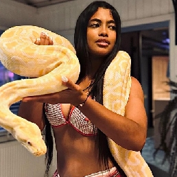 Serpentia Meet & Greet Slangenshows