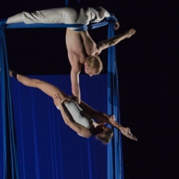 Aerial Duo: Falling from the sky