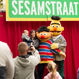Bert & Ernie - Sesame Street