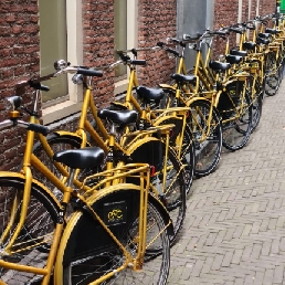 The Golden Bicycle Tour of The Hague
