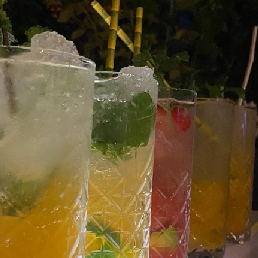 Cocktailshakers|Cocktails in alle smaken