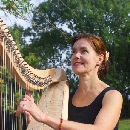 Celtic harp living room concert