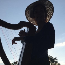 Harpist Leuvenheim  (NL) Troubadour harp