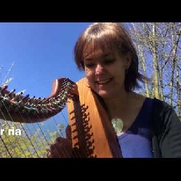 Troubadour harp