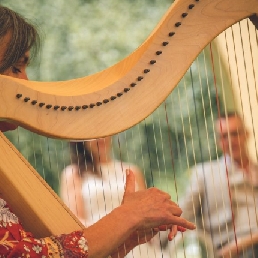 Harpist Lies Joosten