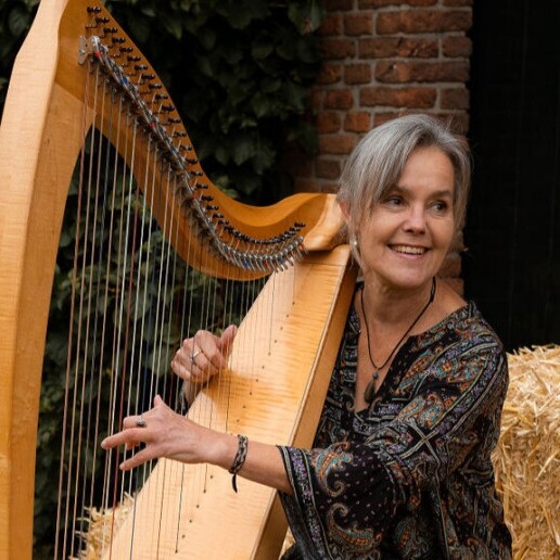 Harpist Leuvenheim  (NL) 