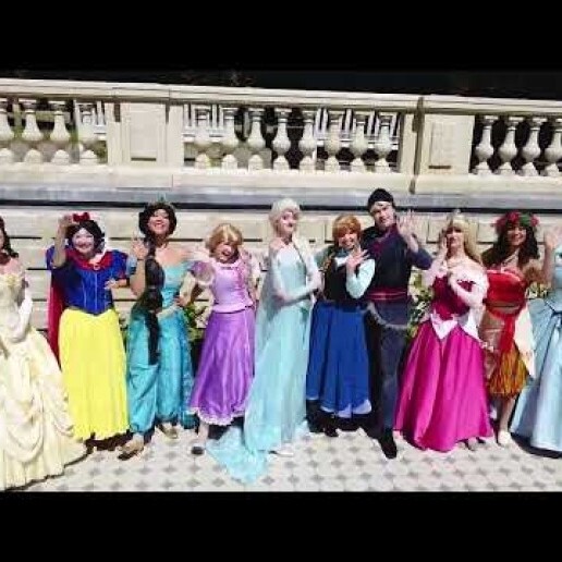 Character/Mascott Veenendaal  (NL) 