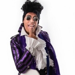 Prince Imitator / Tribute