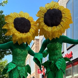 Animatie Den Haag  (NL) Dansende Zonnebloemen op stelten