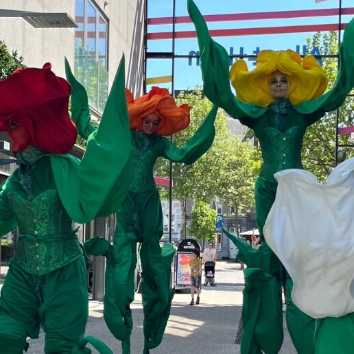 Actor Den Haag  (NL) 