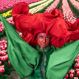 Vrolijke Tulpen