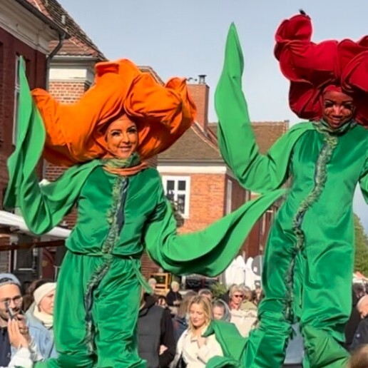 Tulpen op stelten