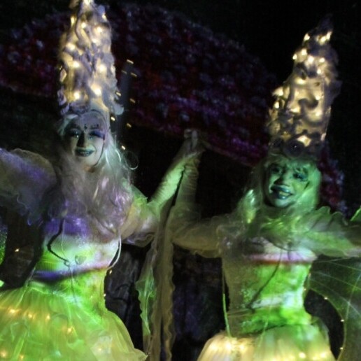 Actor Den Haag  (NL) 