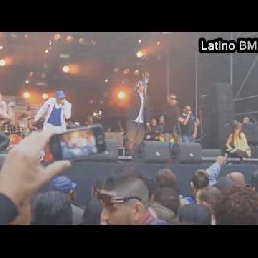 Latino BM Royale (XXL-Showband)