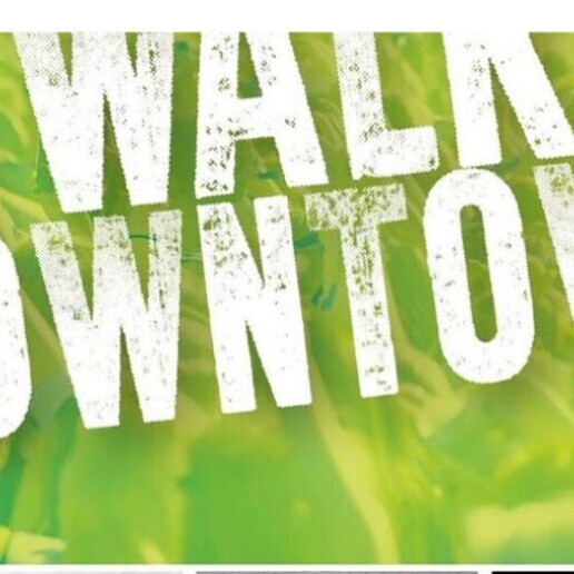 Musician other Utrecht  (NL) 