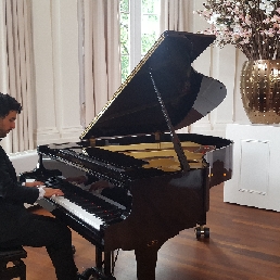 Bruiloft pianist Robin
