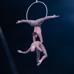 Duo aerial hoop act