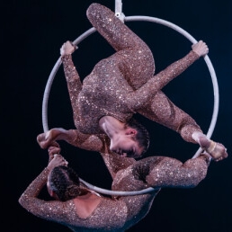 Duo aerial hoop act