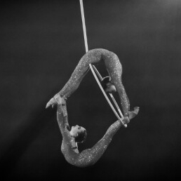 Duo aerial hoop act