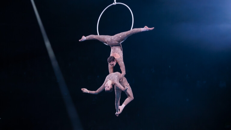 Duo aerial hoop act