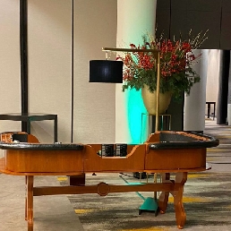 Luxury Professional Craps Table