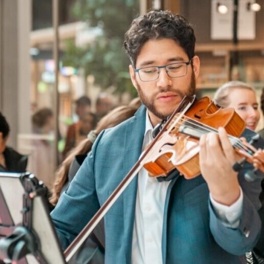 Violinist Maastricht  (NL) 