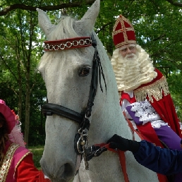 Sinterklaas & de PietenParty