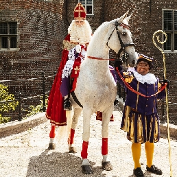 The real horse of Sinterklaas