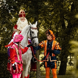 The real horse of Sinterklaas