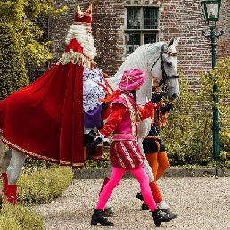 The real horse of Sinterklaas