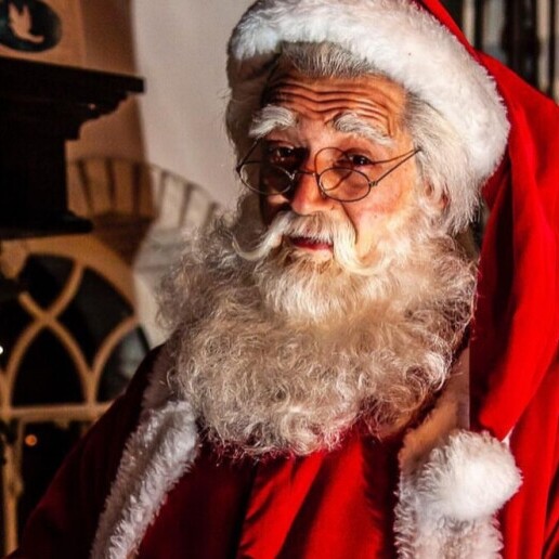 Santa with two Christmas girls for hire