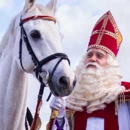 Character/Mascott Dordrecht  (NL) Hire a professional Sinterklaas