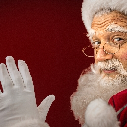 Professional Santa