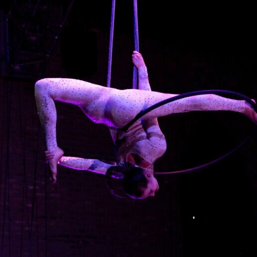 Acrobat Leiden  (NL) 