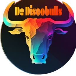 The Discobulls - Student Cover Band