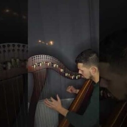 Harpist Ingel Baaijens
