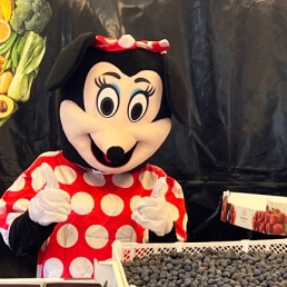 Minnie Mouse Mascot