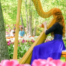Harpist and singer Inge Louisa