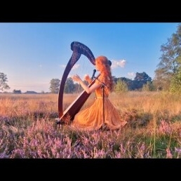 Wedding harpist Inge (and singer)