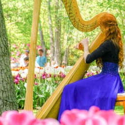 Wedding harpist Inge (and singer)