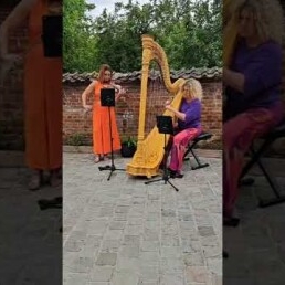 Saskia & Aurélie - Duo Harp & Viool