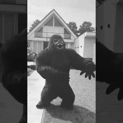 Event show Amsterdam  (NL) 