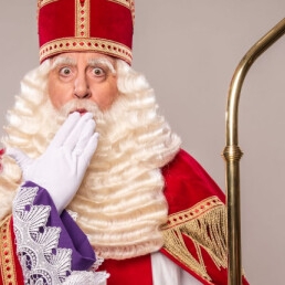 Profesionele Sinterklaas en Pieten